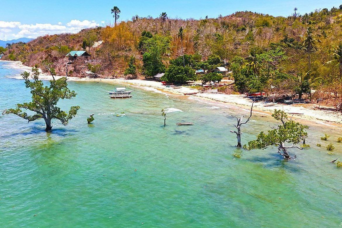 Land for Sale in San Jose, Roxas, Palawan – photo 2