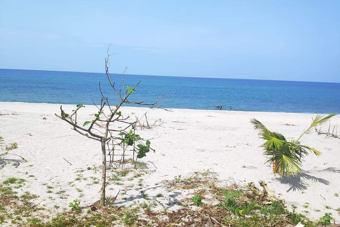 Land for Sale in San Jose, San Narciso, Zambales
