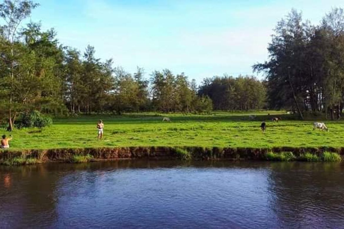 Land for Sale in San Jose, San Narciso, Zambales – photo 5