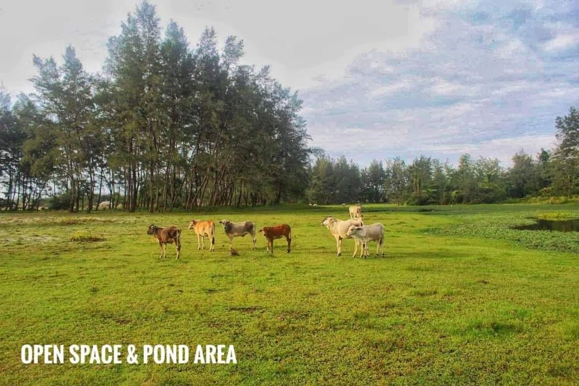 Land for Sale in San Jose, San Narciso, Zambales – photo 7