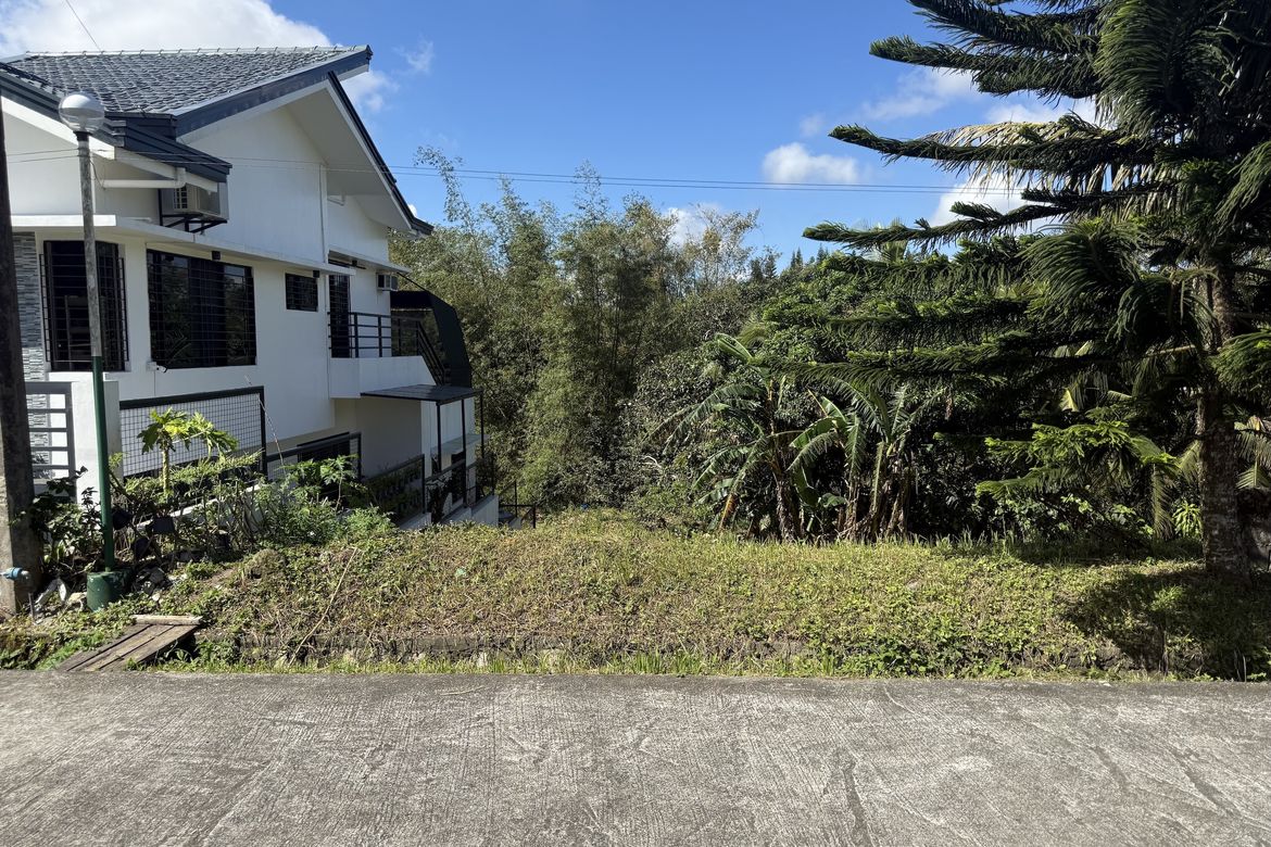 Land for Sale in San Jose, Tagaytay, Cavite – photo 2