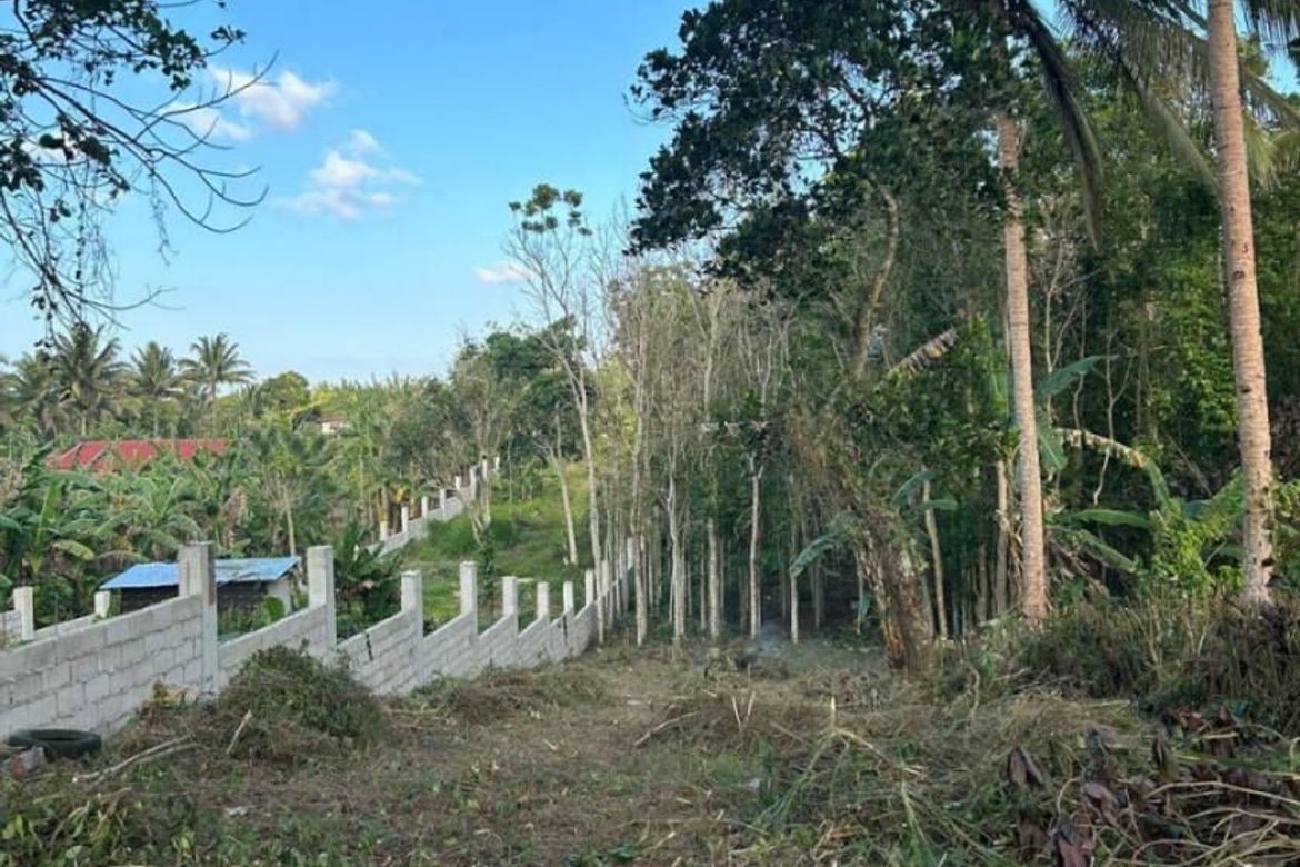 Land for Sale in San Jose, Tagaytay, Cavite – photo 2