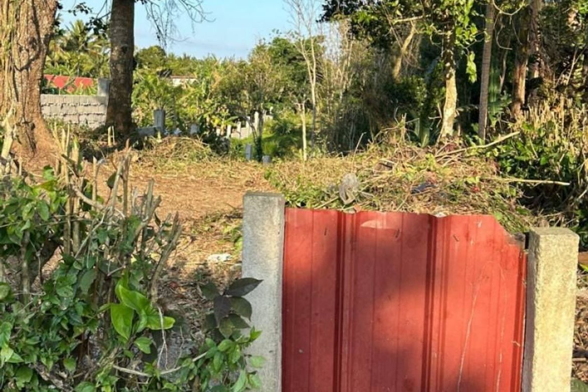 Land for Sale in San Jose, Tagaytay, Cavite – photo 3