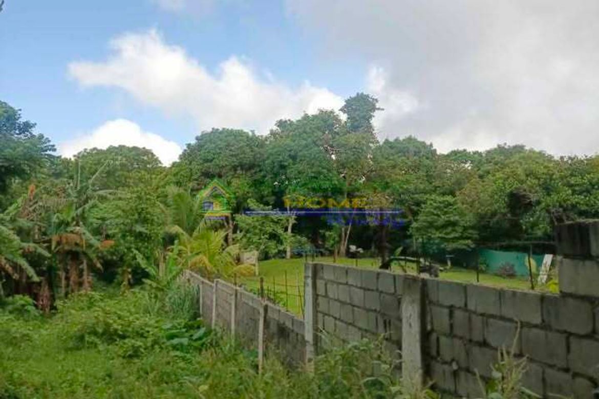 Land for Sale in San Jose, Tagaytay, Cavite – photo 2