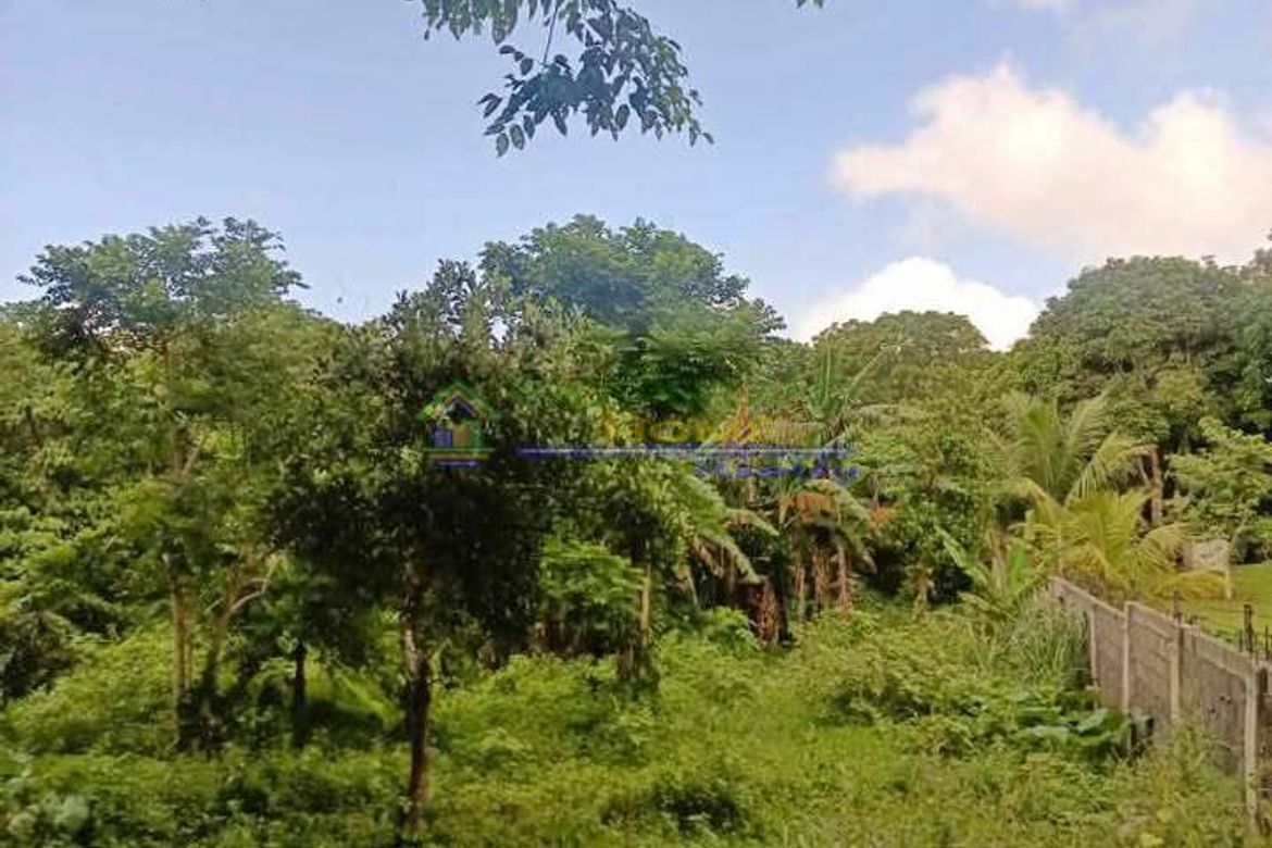 Land for Sale in San Jose, Tagaytay, Cavite – photo 3
