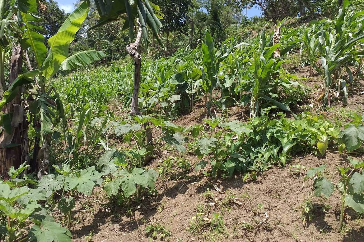 Land for Sale in San Jose, Tagaytay, Cavite – photo 2