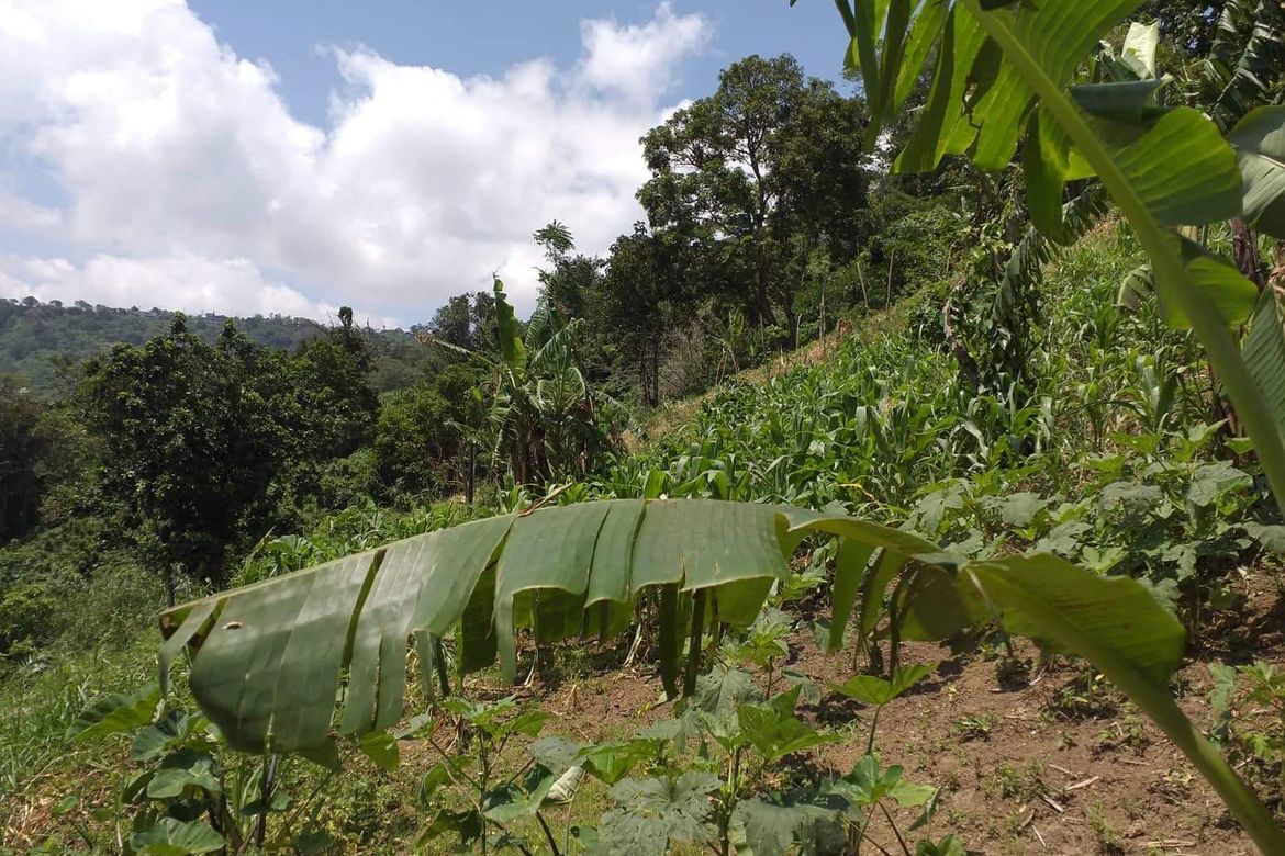 Land for Sale in San Jose, Tagaytay, Cavite – photo 3
