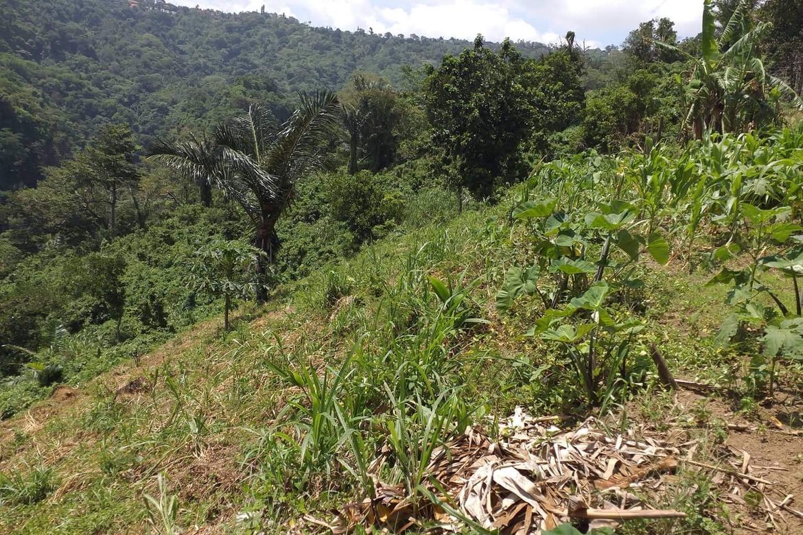 Land for Sale in San Jose, Tagaytay, Cavite – photo 4