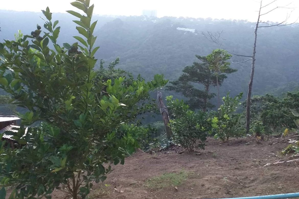 Land for Sale in San Jose, Tagaytay, Cavite – photo 5