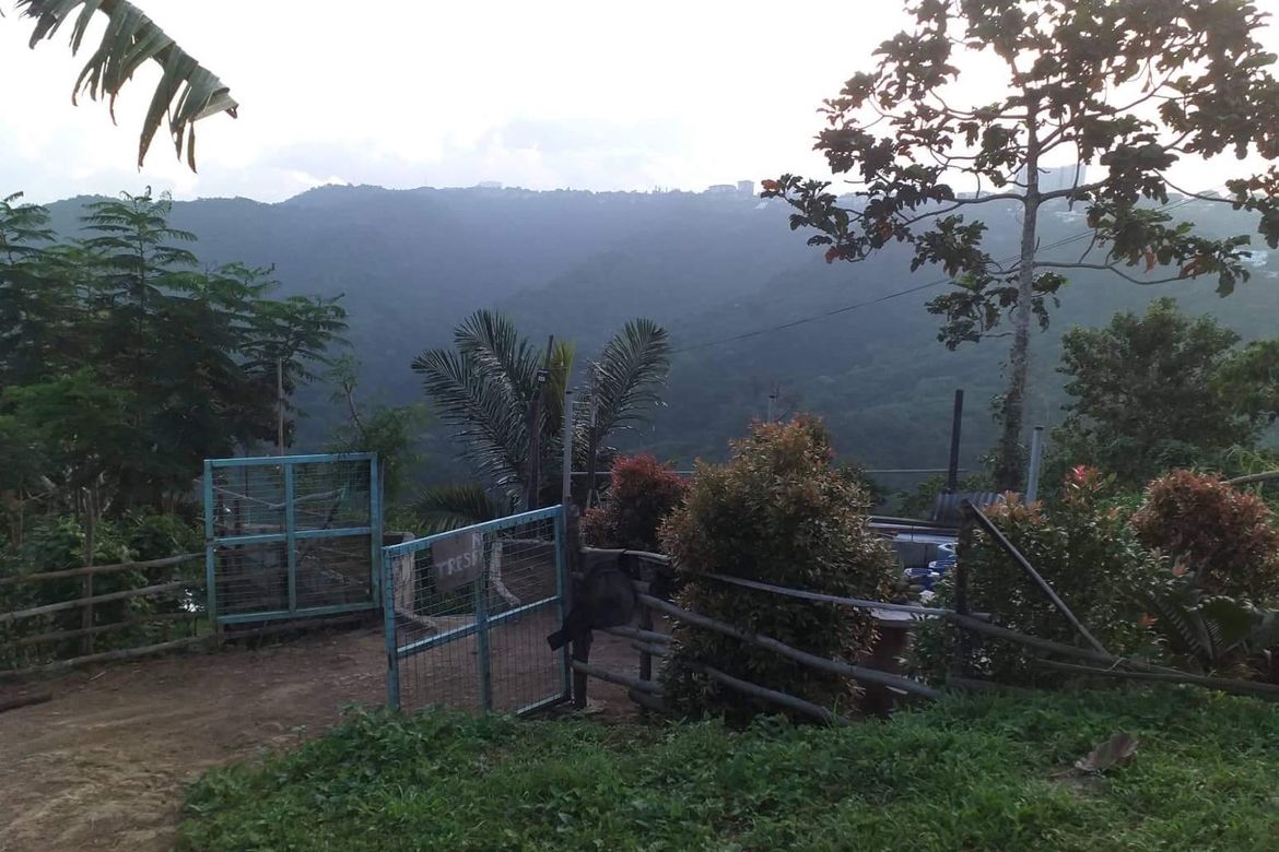 Land for Sale in San Jose, Tagaytay, Cavite – photo 7
