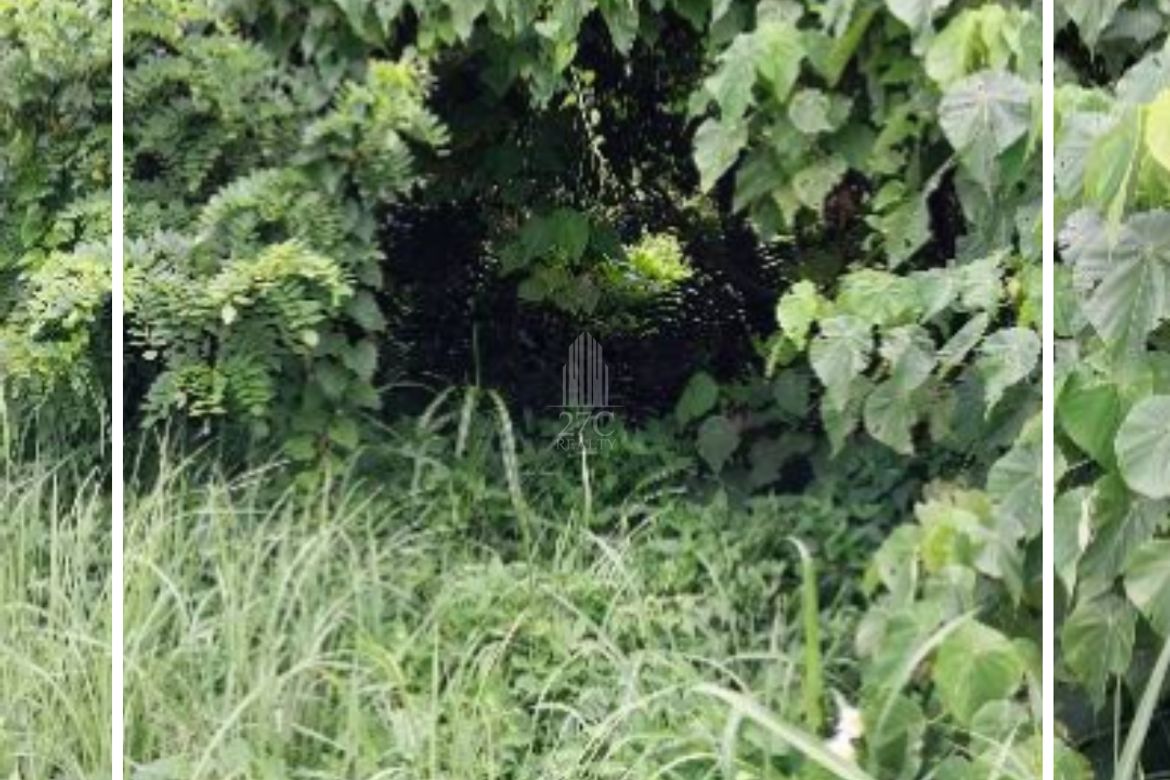 Land for Sale in San Jose, Tagaytay, Cavite – photo 5