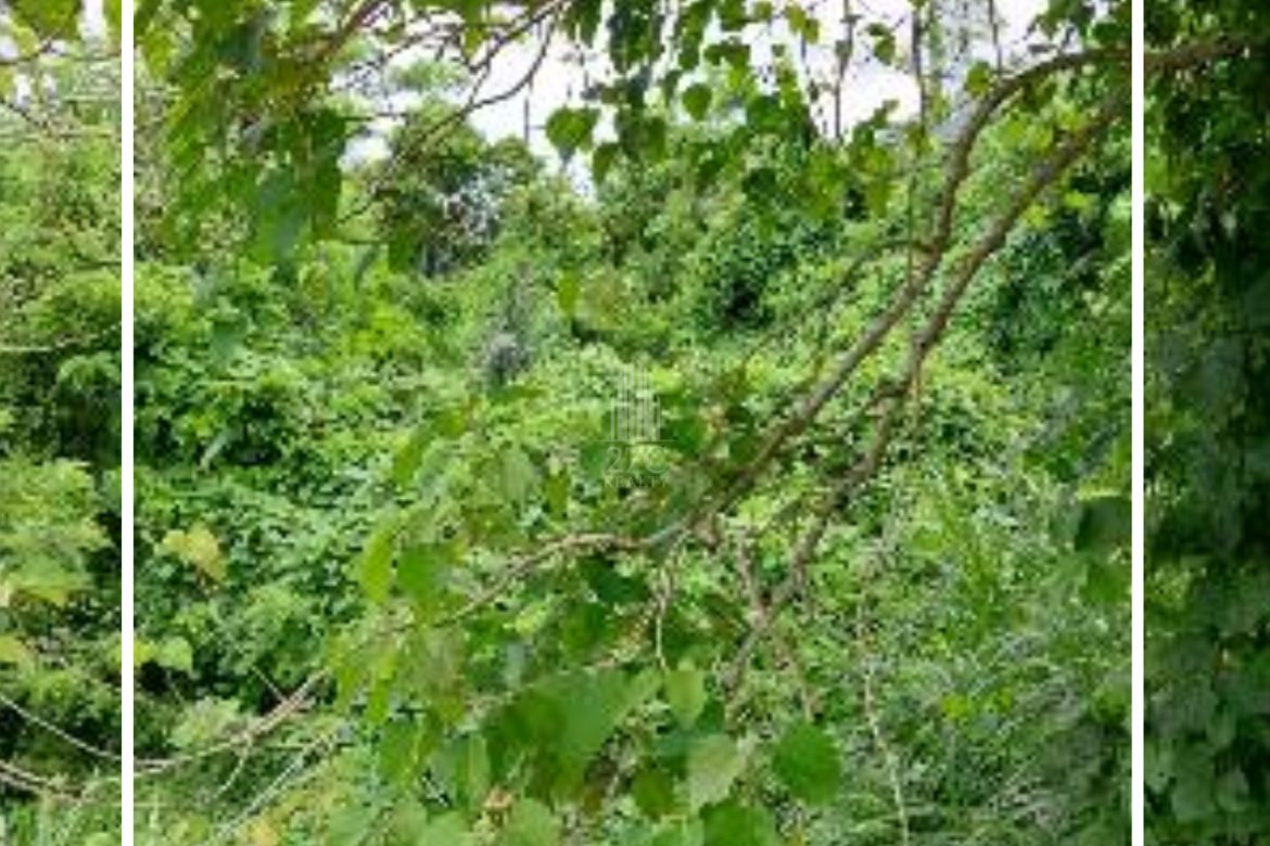 Land for Sale in San Jose, Tagaytay, Cavite – photo 7
