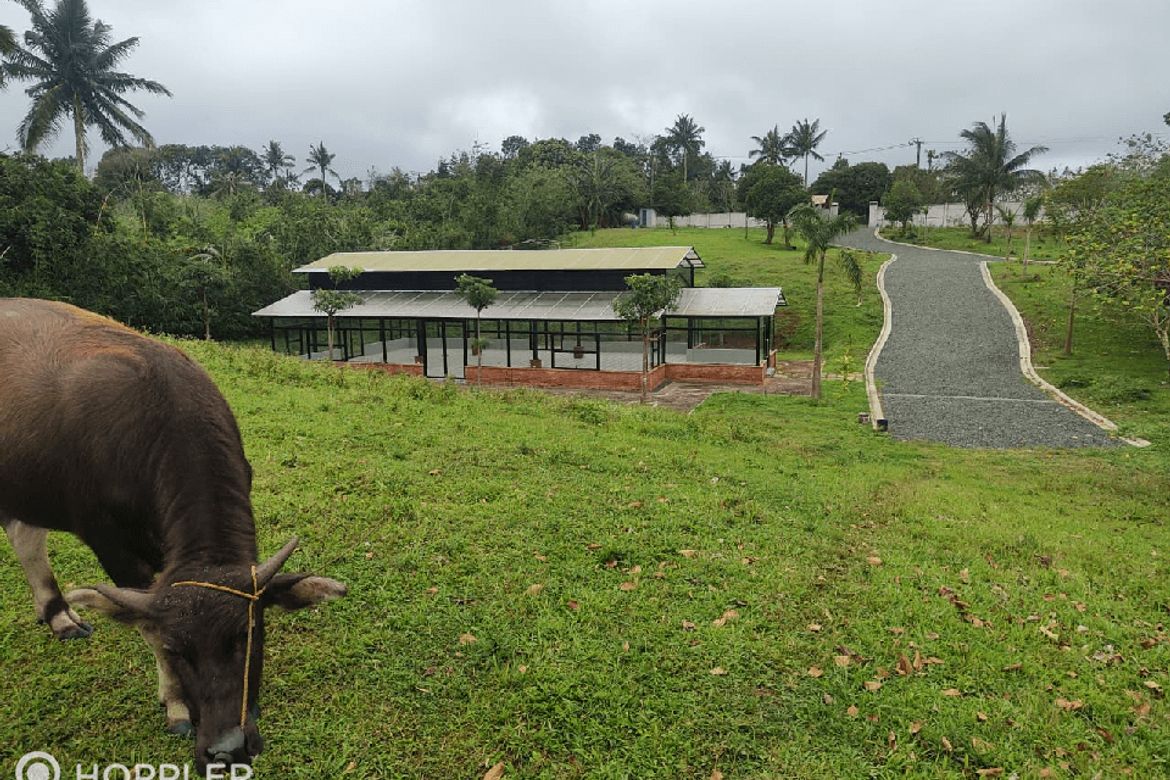 Land for Sale in San Jose, Tagaytay, Cavite – photo 5