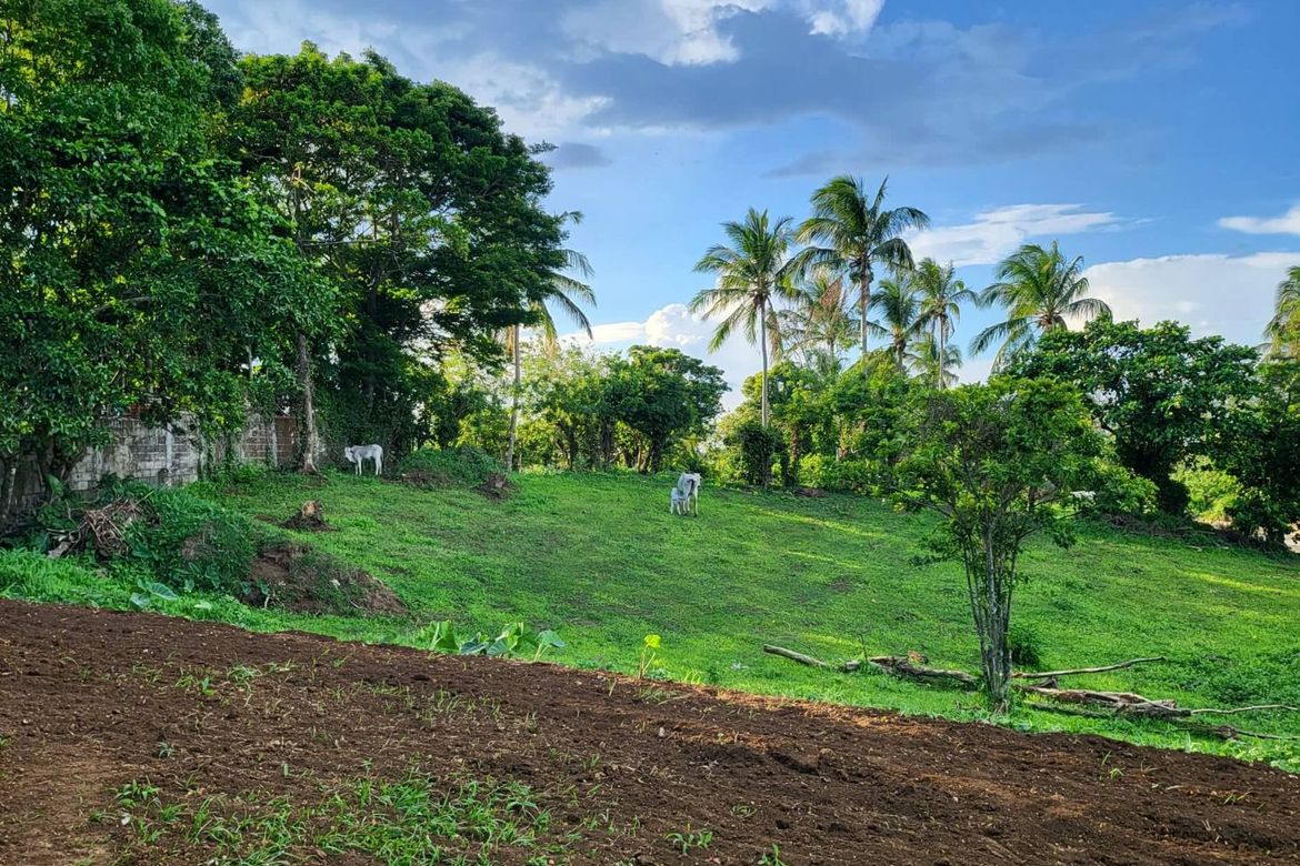 Land for Sale in San Jose, Tagaytay, Cavite – photo 3