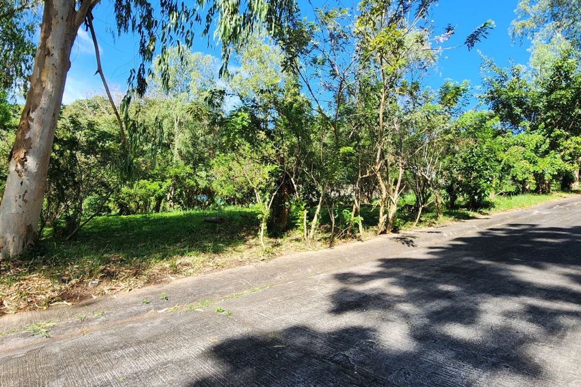 Land for Sale in San Jose, Tagaytay, Cavite – photo 4