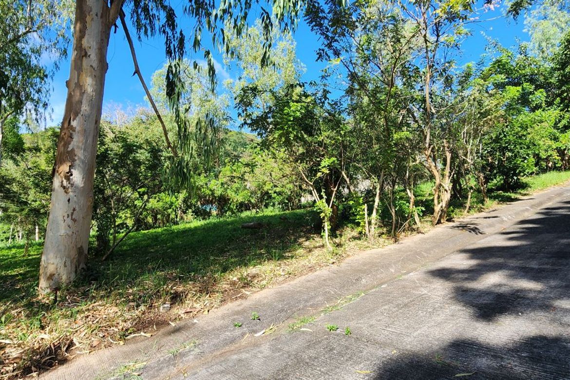 Land for Sale in San Jose, Tagaytay, Cavite – photo 5