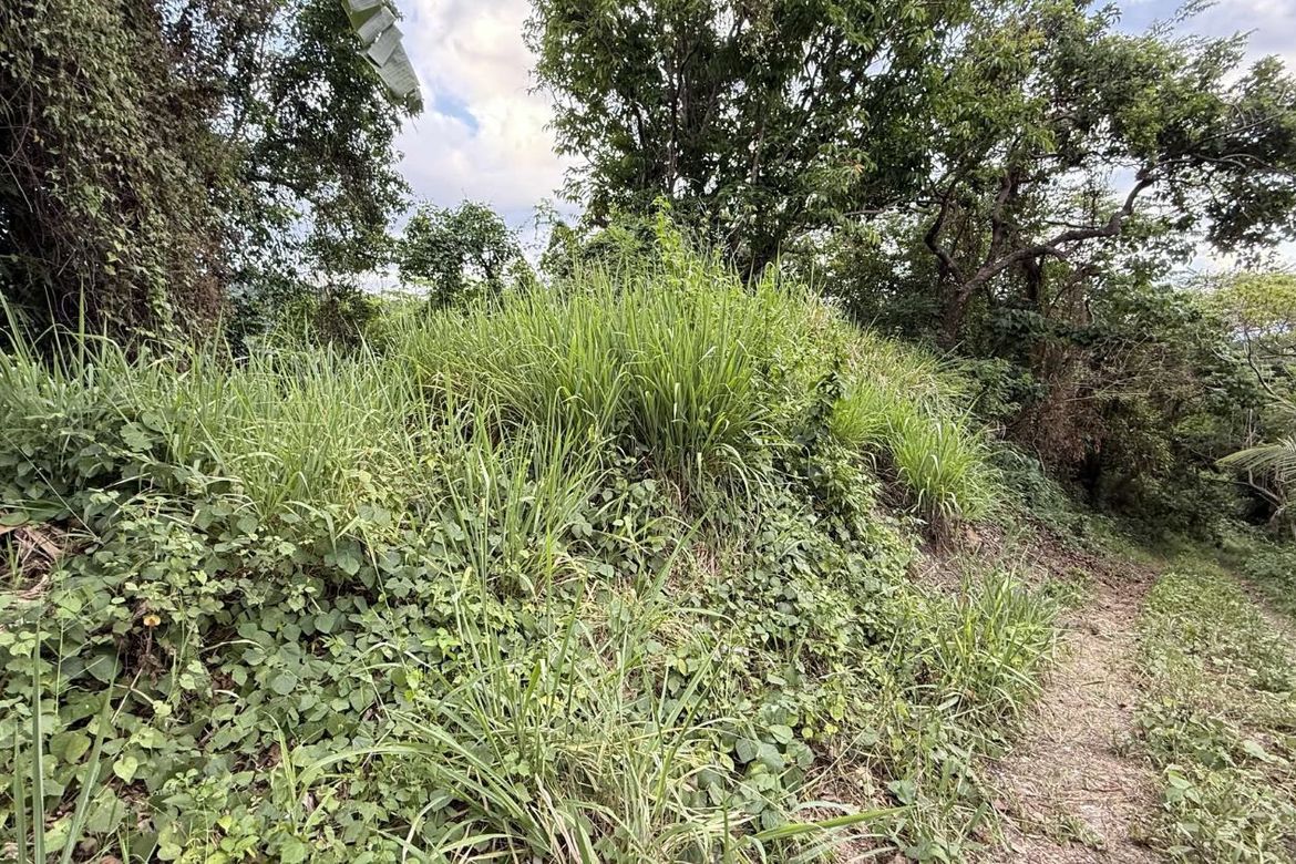 Land for Sale in San Jose, Tagaytay, Cavite – photo 2