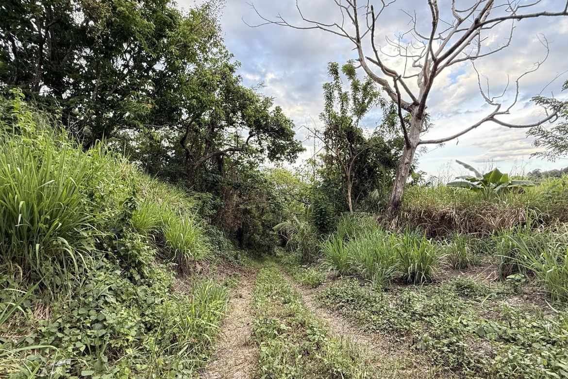 Land for Sale in San Jose, Tagaytay, Cavite – photo 3