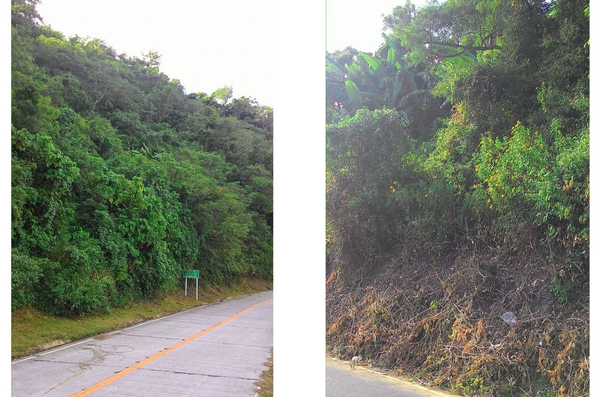 Land for Sale in San Jose, Tagaytay, Cavite – photo 5