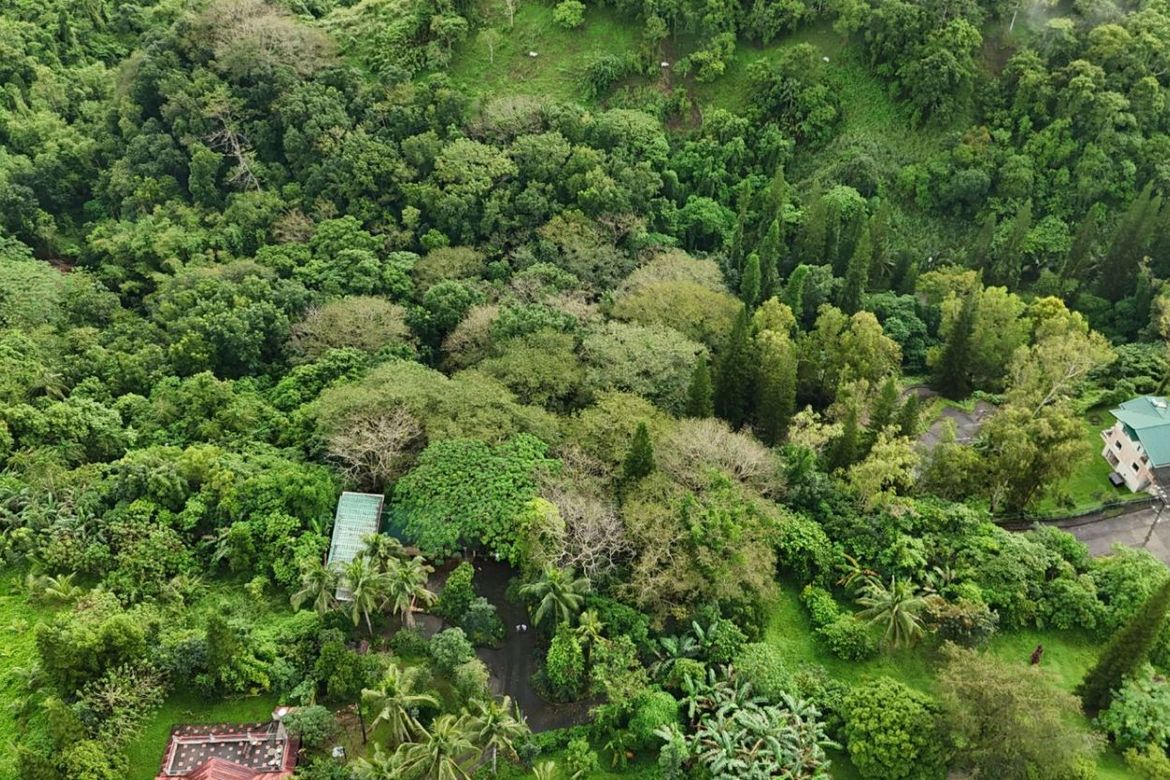 Land for Sale in San Jose, Tagaytay, Cavite – photo 2