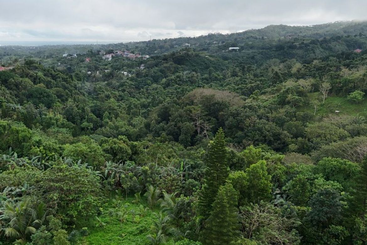 Land for Sale in San Jose, Tagaytay, Cavite – photo 5