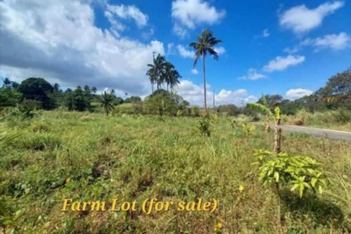 Land for Sale in San Jose, Tagaytay, Cavite