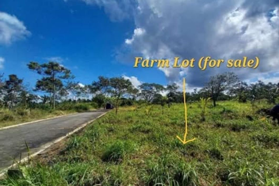 Land for Sale in San Jose, Tagaytay, Cavite – photo 2