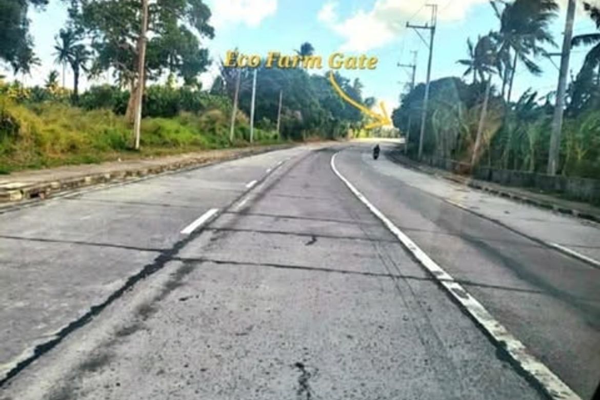 Land for Sale in San Jose, Tagaytay, Cavite – photo 3