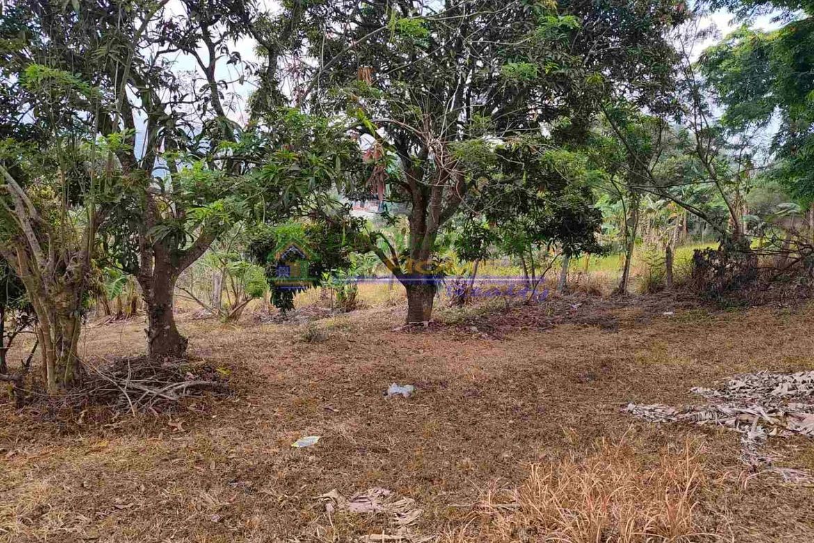 Land for Sale in San Jose, Tagaytay, Cavite – photo 3