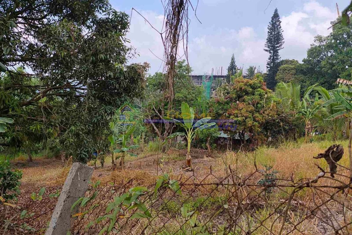 Land for Sale in San Jose, Tagaytay, Cavite – photo 4