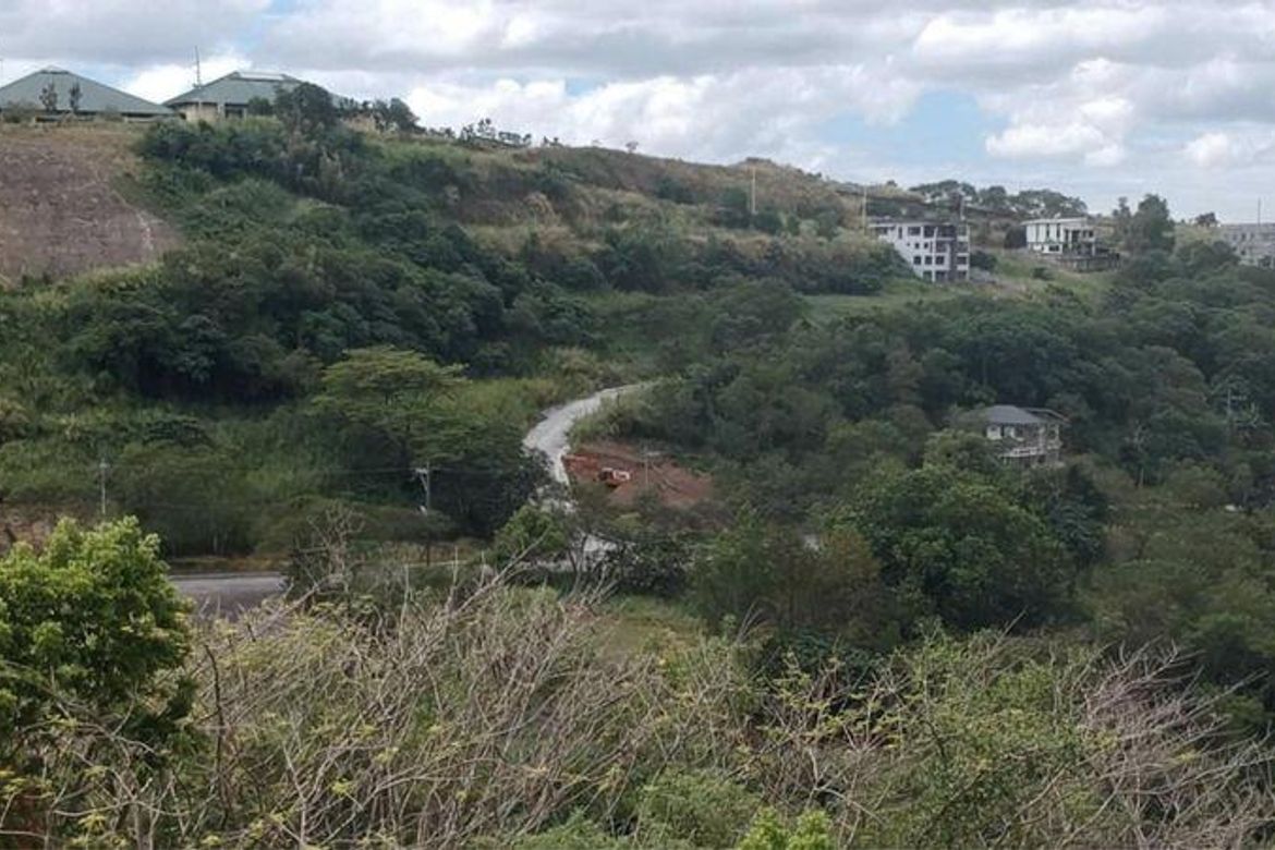 Land for Sale in San Juan, Antipolo, Rizal – photo 3