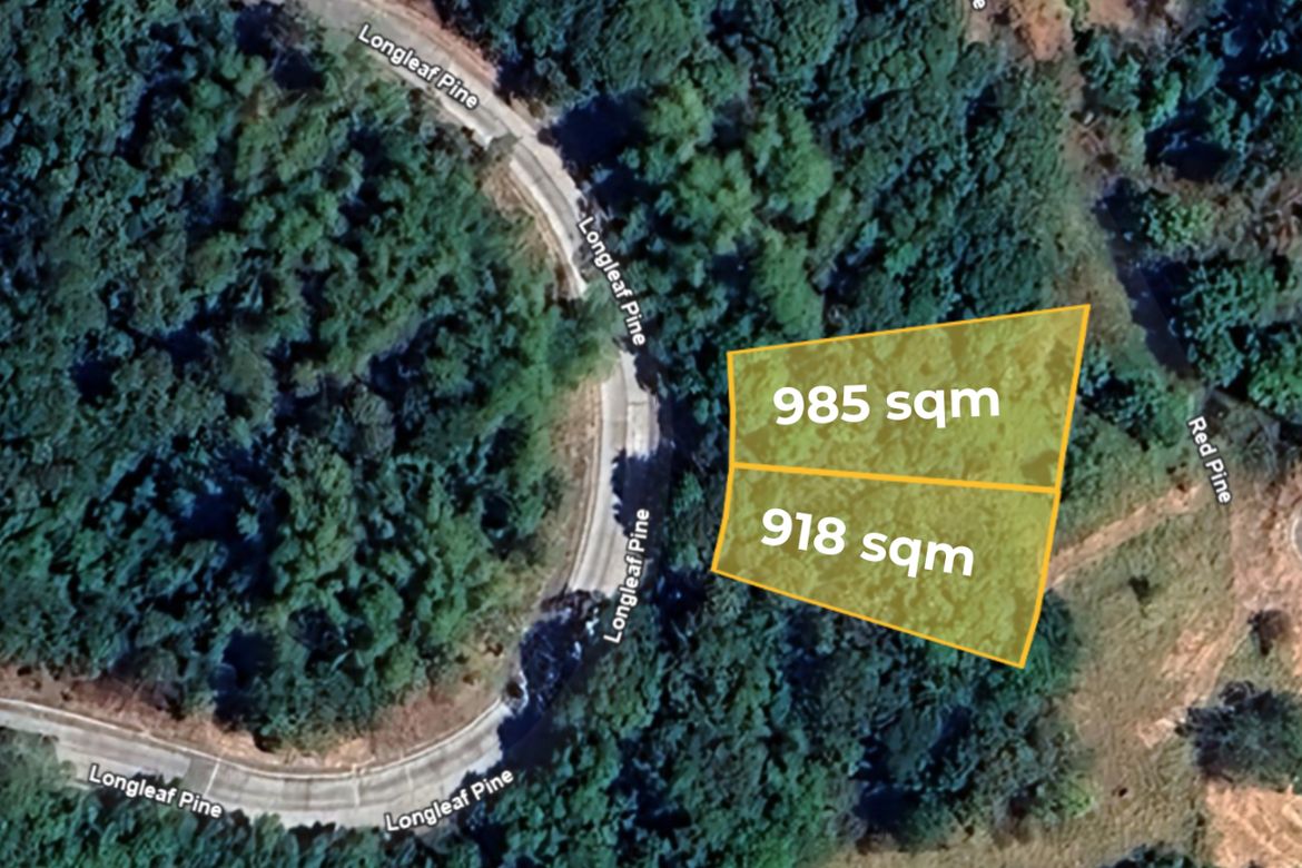 Land for Sale in San Juan, Antipolo, Rizal