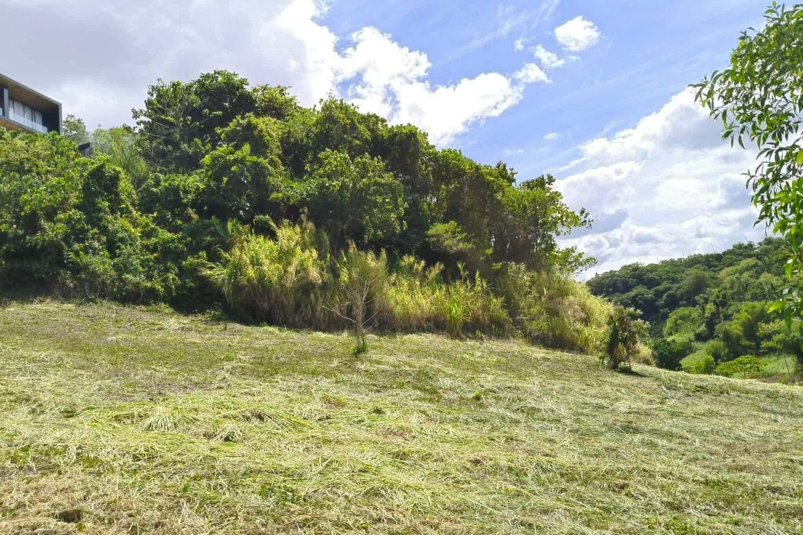 Land for Sale in San Juan, Antipolo, Rizal