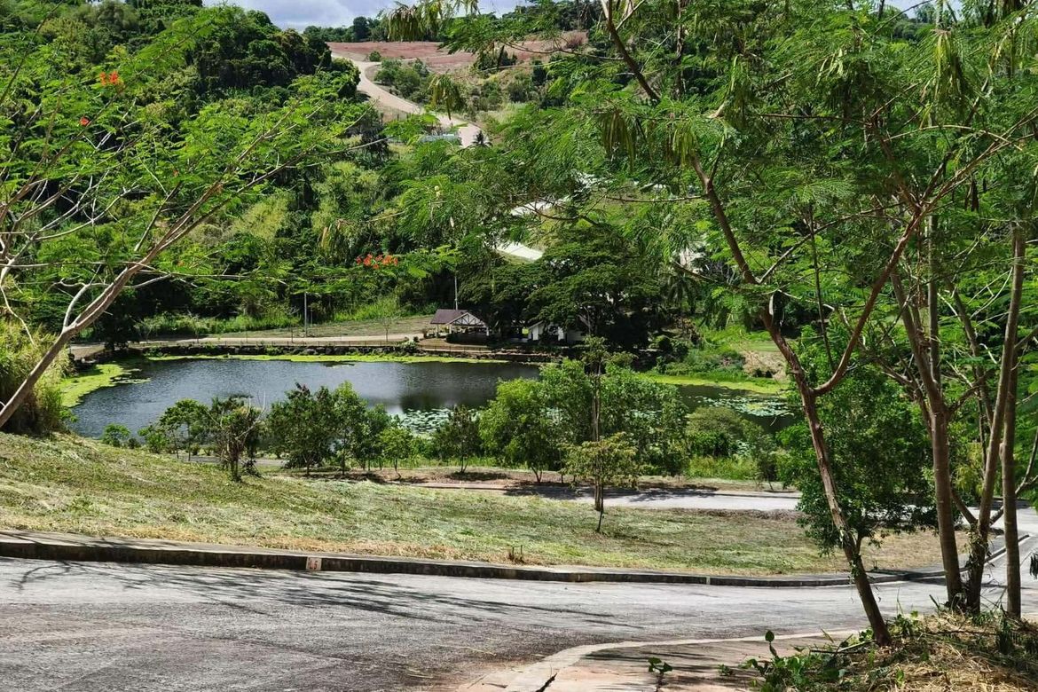 Land for Sale in San Juan, Antipolo, Rizal – photo 5