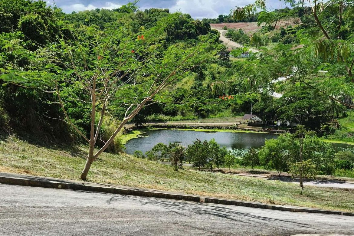 Land for Sale in San Juan, Antipolo, Rizal – photo 6