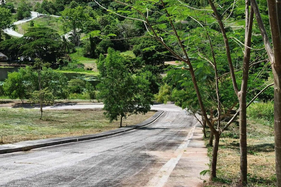 Land for Sale in San Juan, Antipolo, Rizal – photo 7