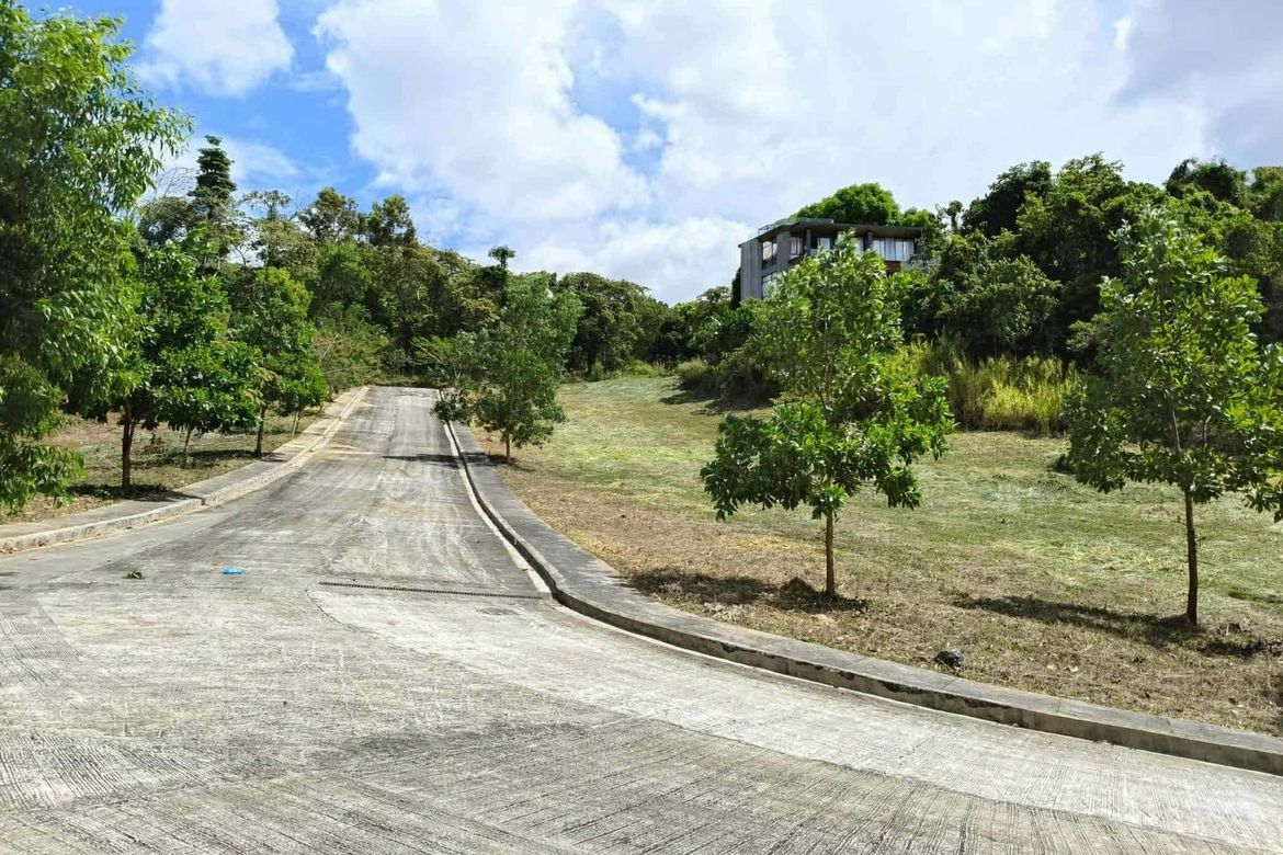 Land for Sale in San Juan, Antipolo, Rizal – photo 8