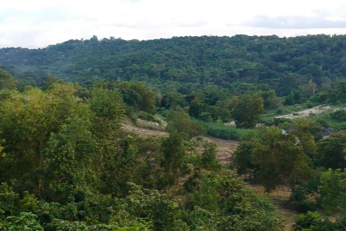 Land for Sale in San Juan, Antipolo, Rizal