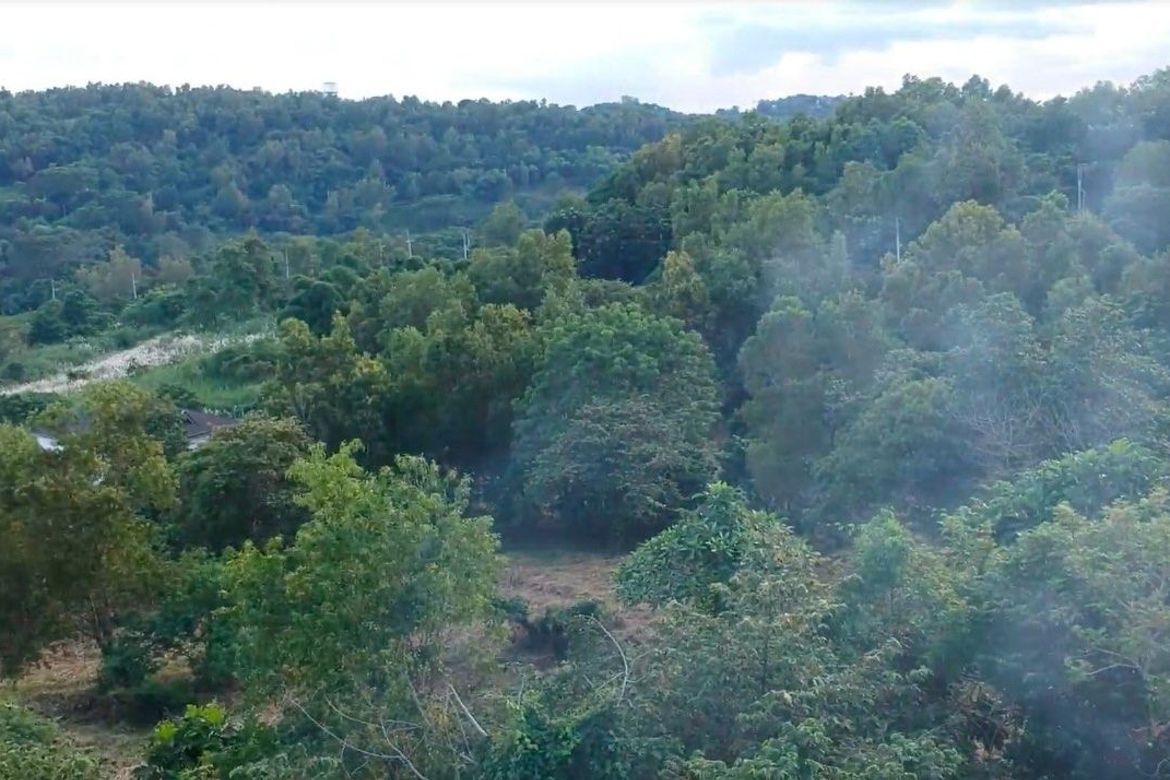 Land for Sale in San Juan, Antipolo, Rizal – photo 2