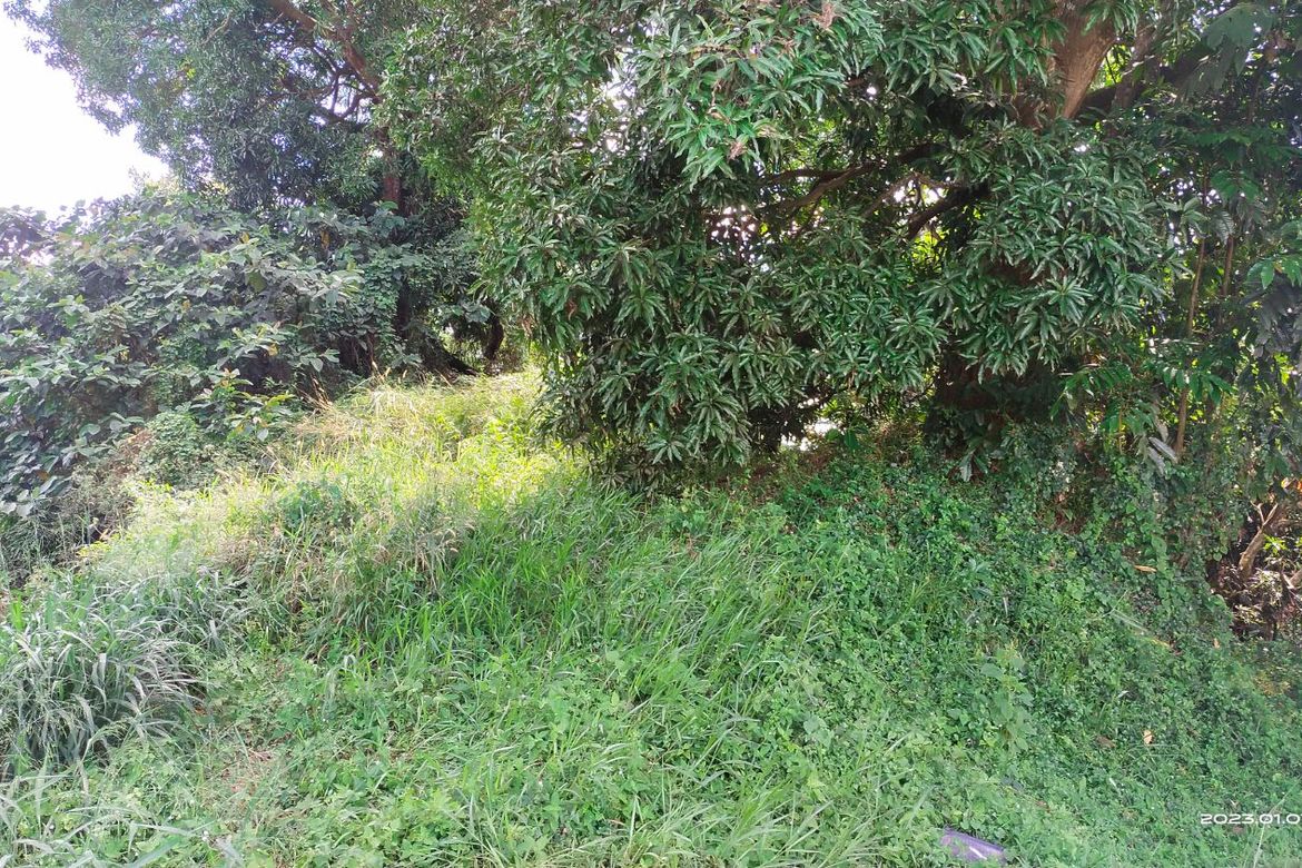 Land for Sale in San Juan, Antipolo, Rizal – photo 8