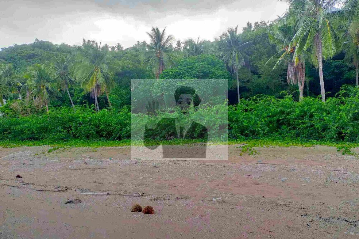 Land for Sale in San Juan, Batangas – photo 2
