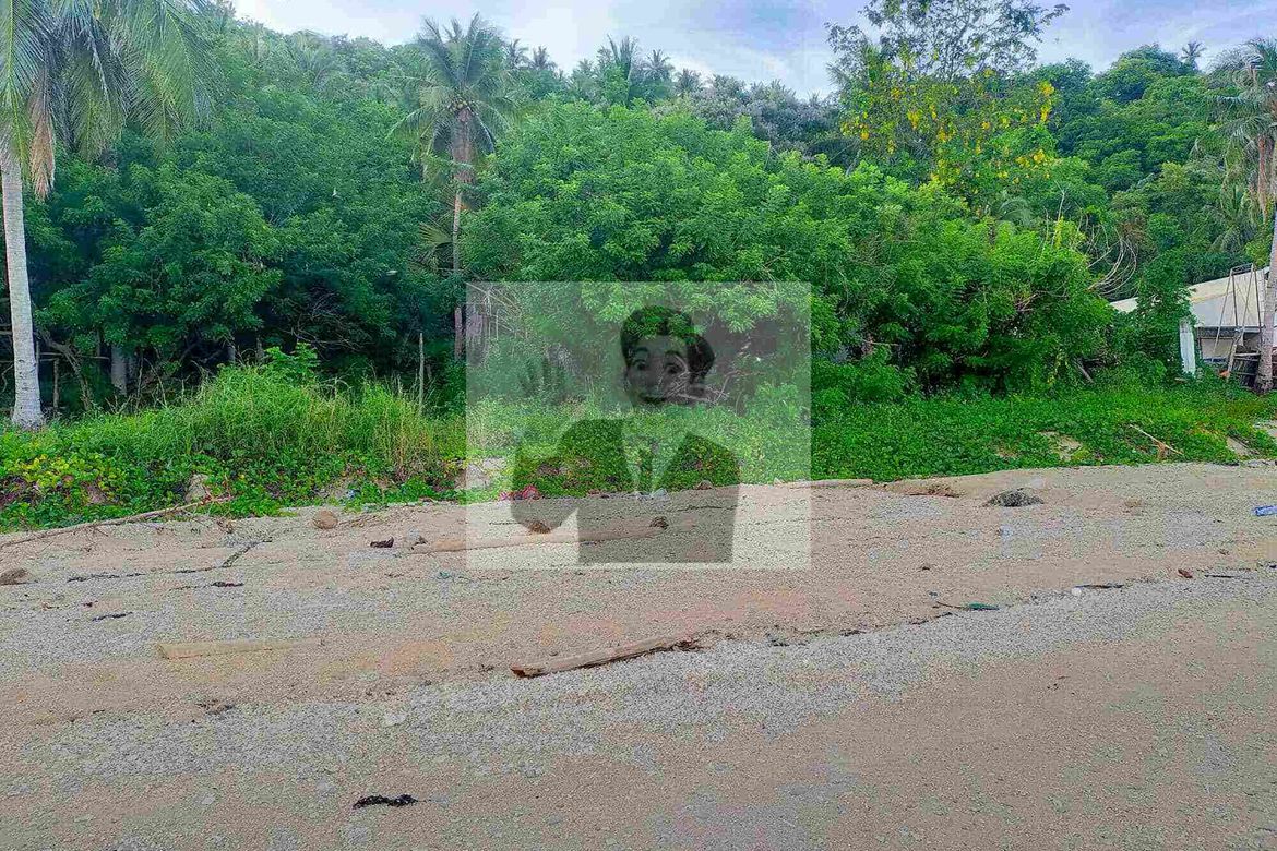 Land for Sale in San Juan, Batangas – photo 4