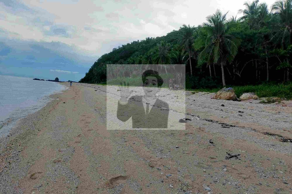 Land for Sale in San Juan, Batangas – photo 5