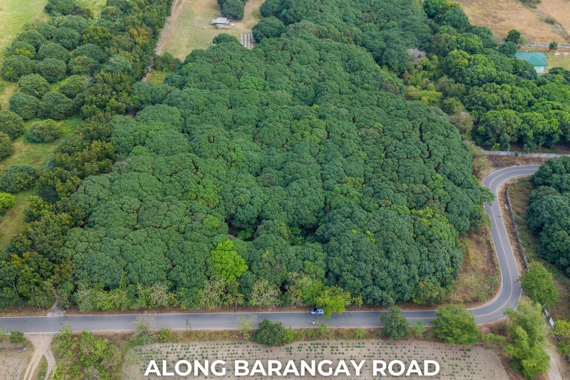 Land for Sale in San Juan, Botolan, Zambales – photo 3