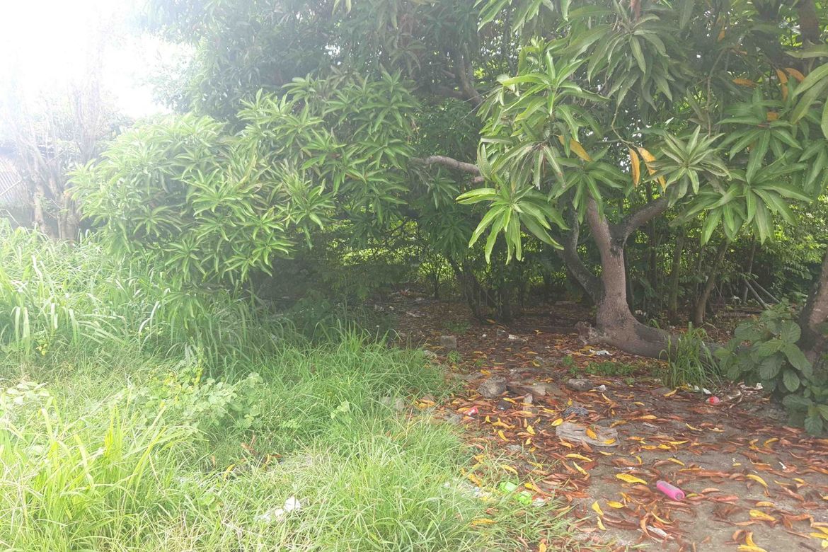 Land for Sale in San Juan I, General Trias, Cavite – photo 3