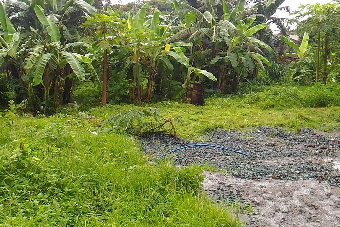 Land for Sale in San Juan I, General Trias, Cavite