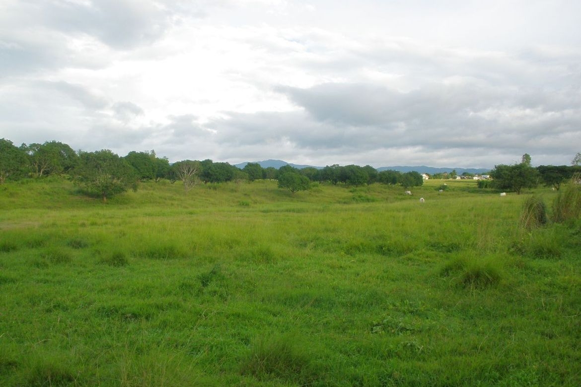 Land for Sale in San Juan, San Miguel, Bulacan – photo 6