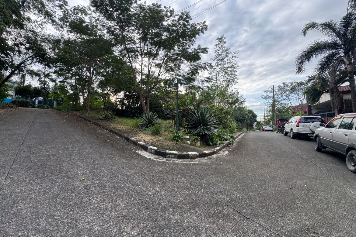 Land for Sale in San Juan, Taytay, Rizal
