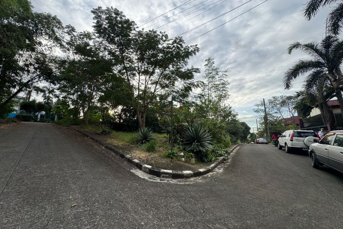 Land for Sale in San Juan, Taytay, Rizal – photo 2
