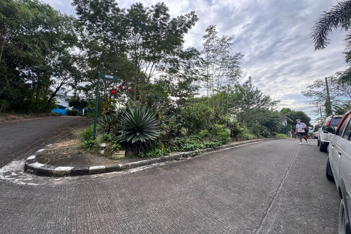 Land for Sale in San Juan, Taytay, Rizal – photo 3